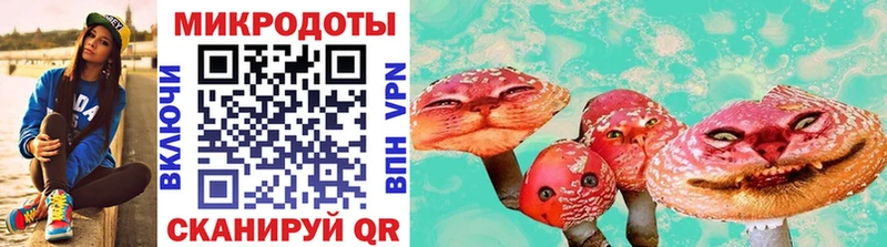 Псилоцибиновые грибы GOLDEN TEACHER  наркотики  ссылка на мегу ссылки  Сусуман 