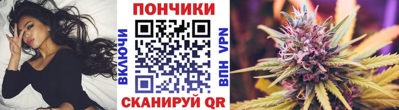Бошки марихуана THC 21%  Сусуман 